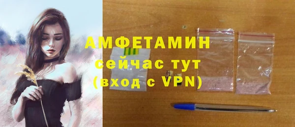 твердый Богданович