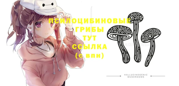 твердый Богданович