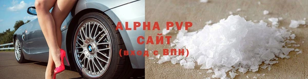 твердый Богданович