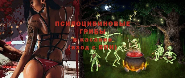 МДМА Богородск