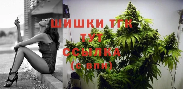 твердый Богданович