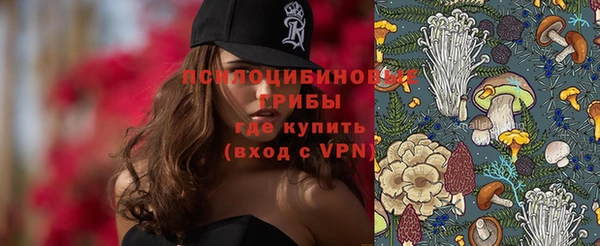 твердый Богданович