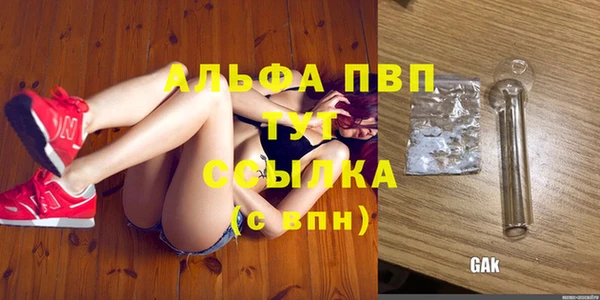 твердый Богданович