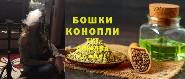 твердый Богданович