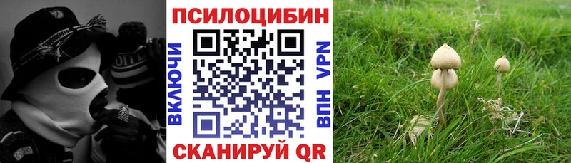 Галлюциногенные грибы Cubensis  Междуреченск 